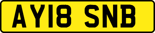 AY18SNB
