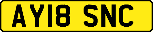 AY18SNC