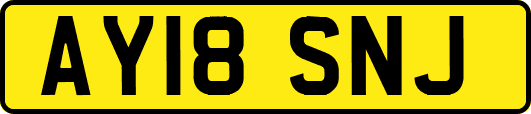 AY18SNJ