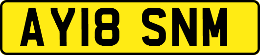 AY18SNM