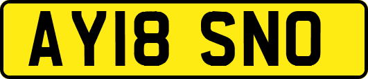 AY18SNO