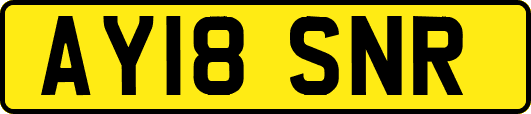 AY18SNR