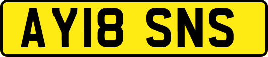 AY18SNS