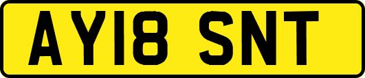 AY18SNT