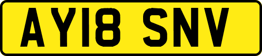 AY18SNV