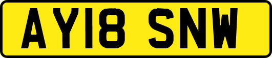 AY18SNW