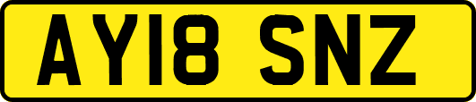 AY18SNZ