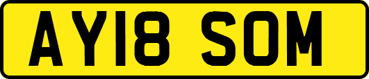 AY18SOM