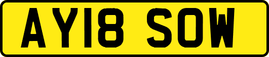 AY18SOW