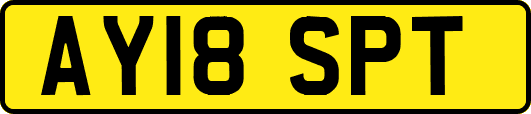 AY18SPT