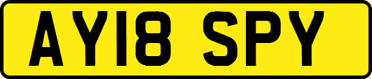 AY18SPY