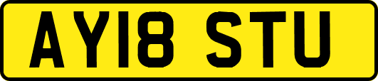 AY18STU
