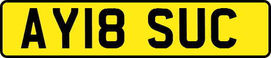 AY18SUC