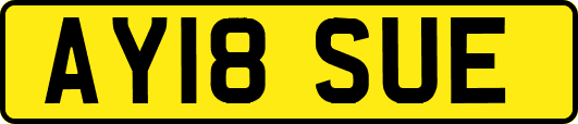 AY18SUE