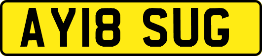 AY18SUG