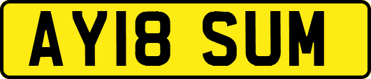 AY18SUM