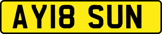 AY18SUN