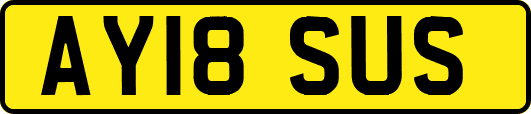 AY18SUS