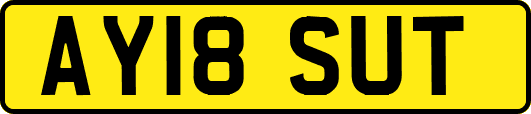 AY18SUT