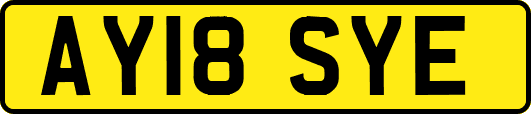 AY18SYE