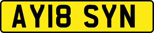 AY18SYN