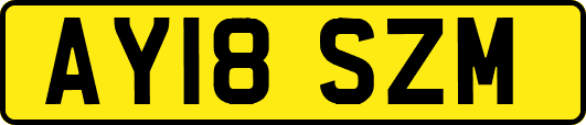 AY18SZM