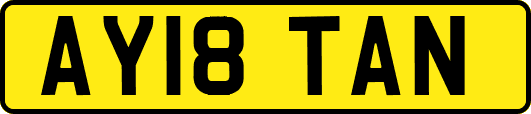 AY18TAN