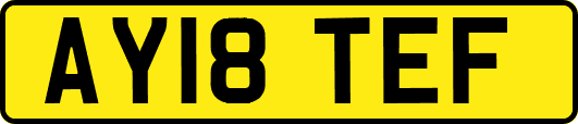 AY18TEF