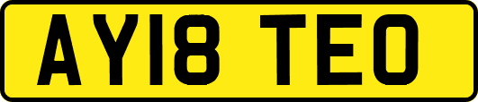 AY18TEO