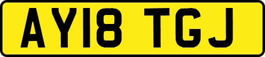 AY18TGJ