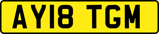 AY18TGM
