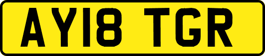AY18TGR