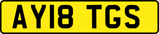 AY18TGS