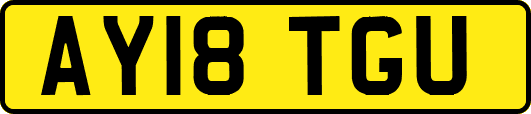 AY18TGU