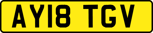 AY18TGV