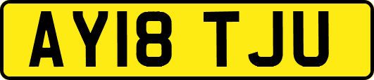 AY18TJU