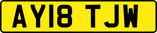 AY18TJW