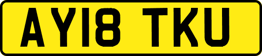 AY18TKU
