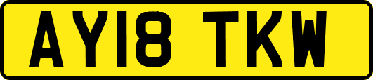 AY18TKW