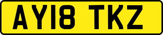 AY18TKZ