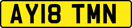 AY18TMN