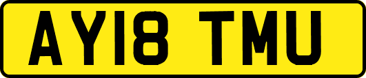 AY18TMU