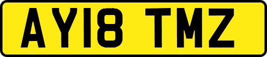 AY18TMZ