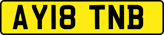 AY18TNB