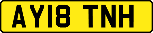 AY18TNH