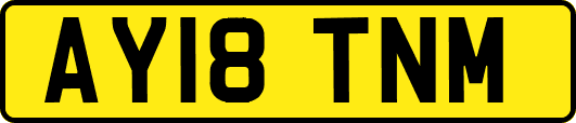 AY18TNM