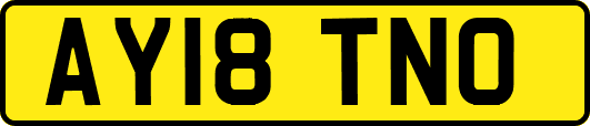 AY18TNO
