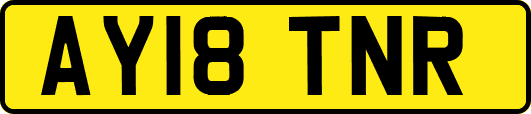 AY18TNR