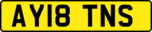 AY18TNS