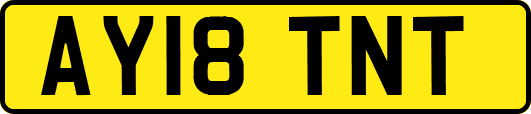 AY18TNT